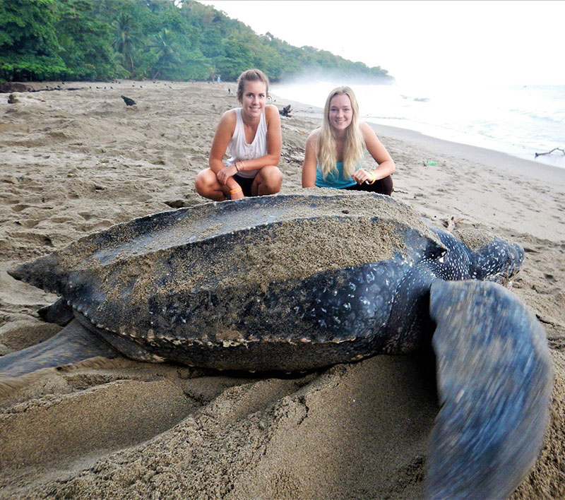 Turtle Beach: Destination Trinidad and Tobago