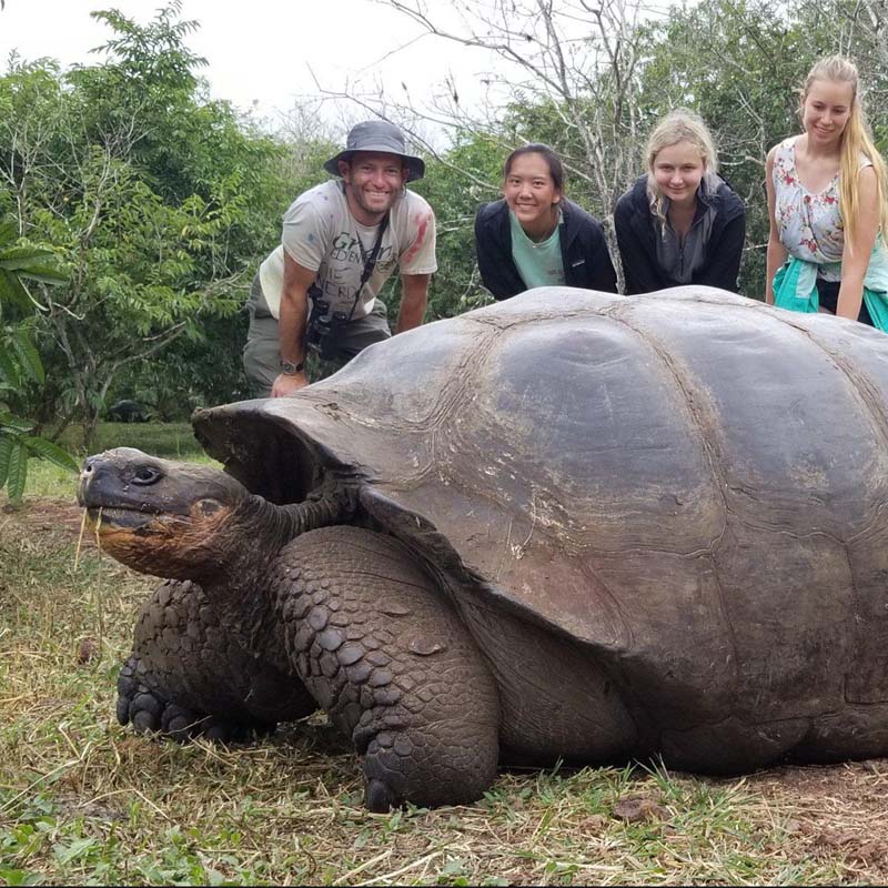 Eco Tour destinations - Homosassa and Crystal River Florida Manatees