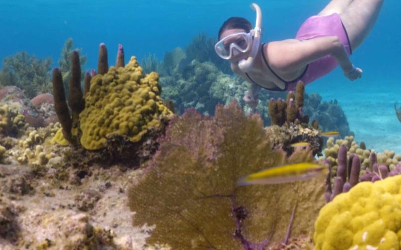 roatan snorkeling adventures