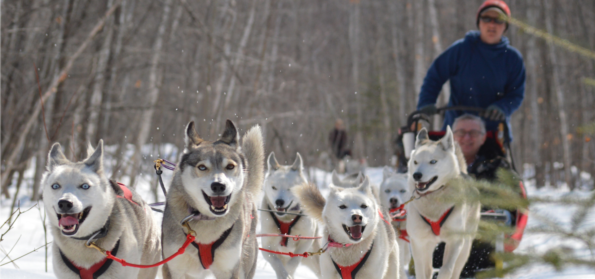 Women's Wisconsin Dog Sledding