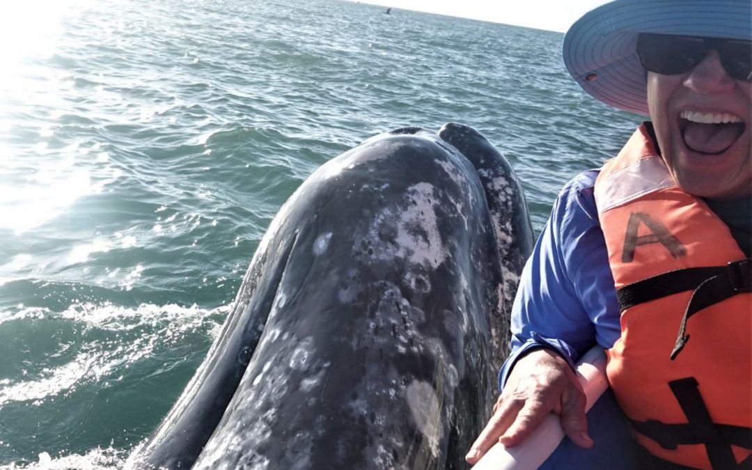 Women’s Baja Snorkeling Adventure Plus Gray Whales Eco Tour – (March 10 – 17, 2024)