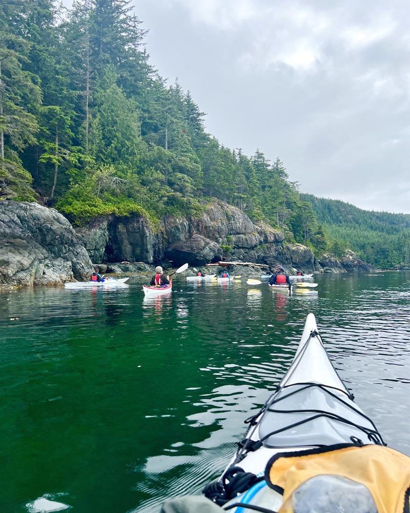 vancouver island sea kayaking tours