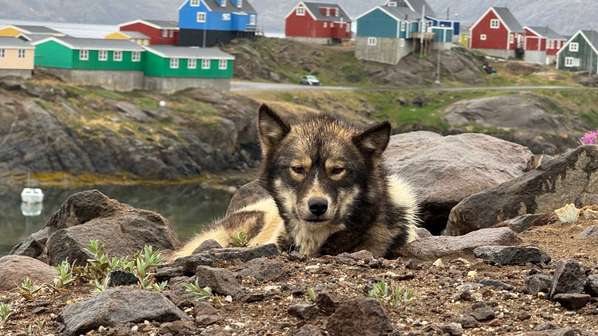 East-Greenland-Womens-Adventure-FAQ003