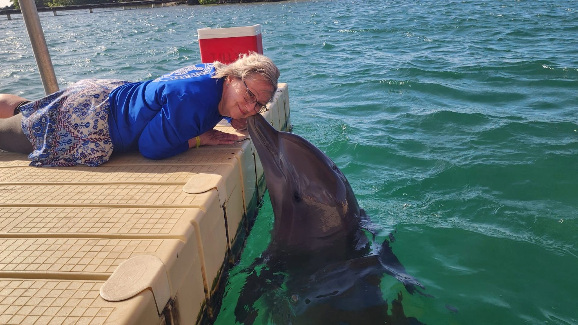 Roatan Dolphin Kiss Iceland-Laugavegur-hike-local-guide