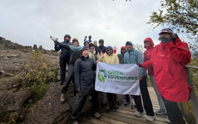 Shawls & Sheep in Iceland: A Women’s Knitting Tour of Culture, Connection, and Community