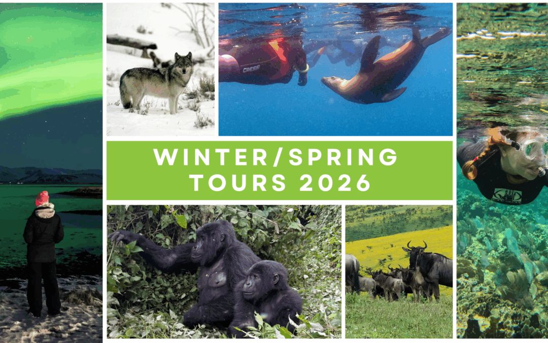 Adventure Travel for Women Over 50 in 2026: Winter & Spring Journeys