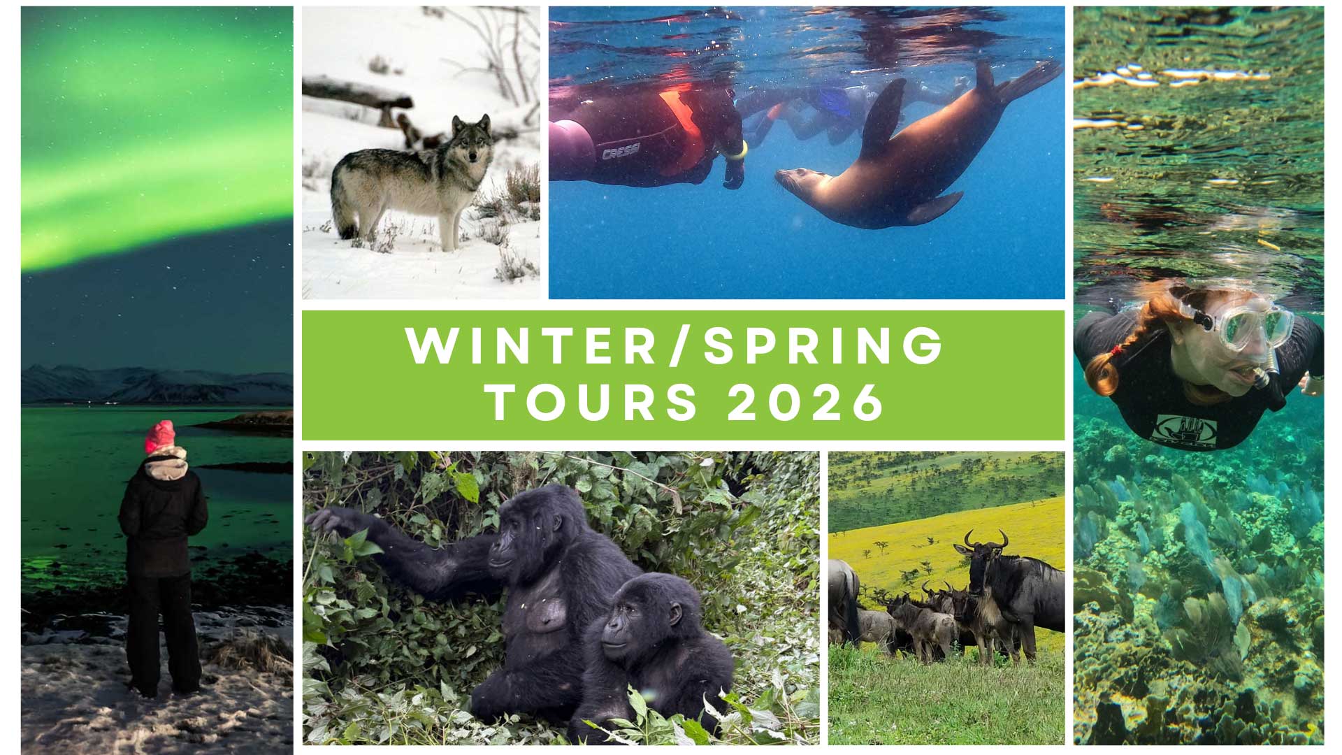Winter Sprint Tours 2025 - 2026