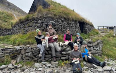 Iceland Knitting Tours for Women: Travel, Culture & Connection