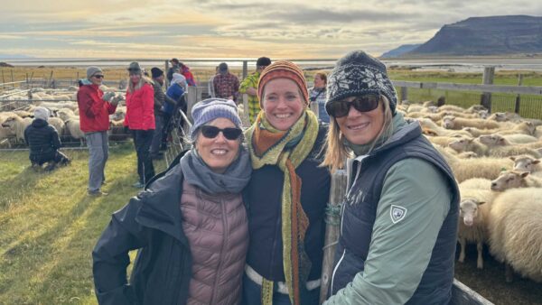 Iceland knitting tour rettir in westfjords