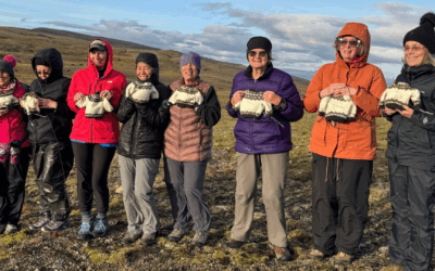 Wool, Roots & the Women of the Westfjords: My Iceland Knitting Workshop Adventure