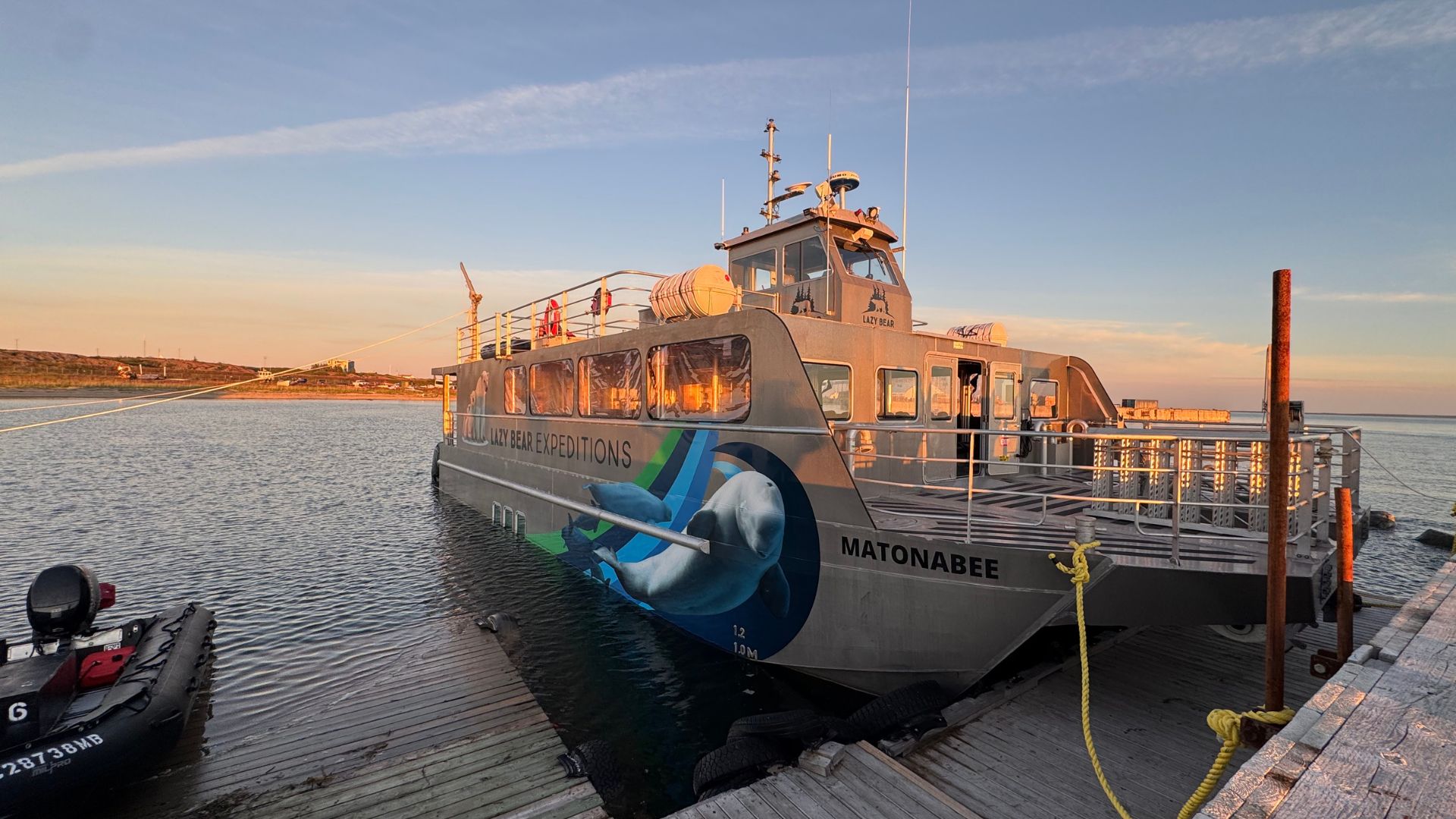 1920x1080 Greenland-Flowers-Mountains