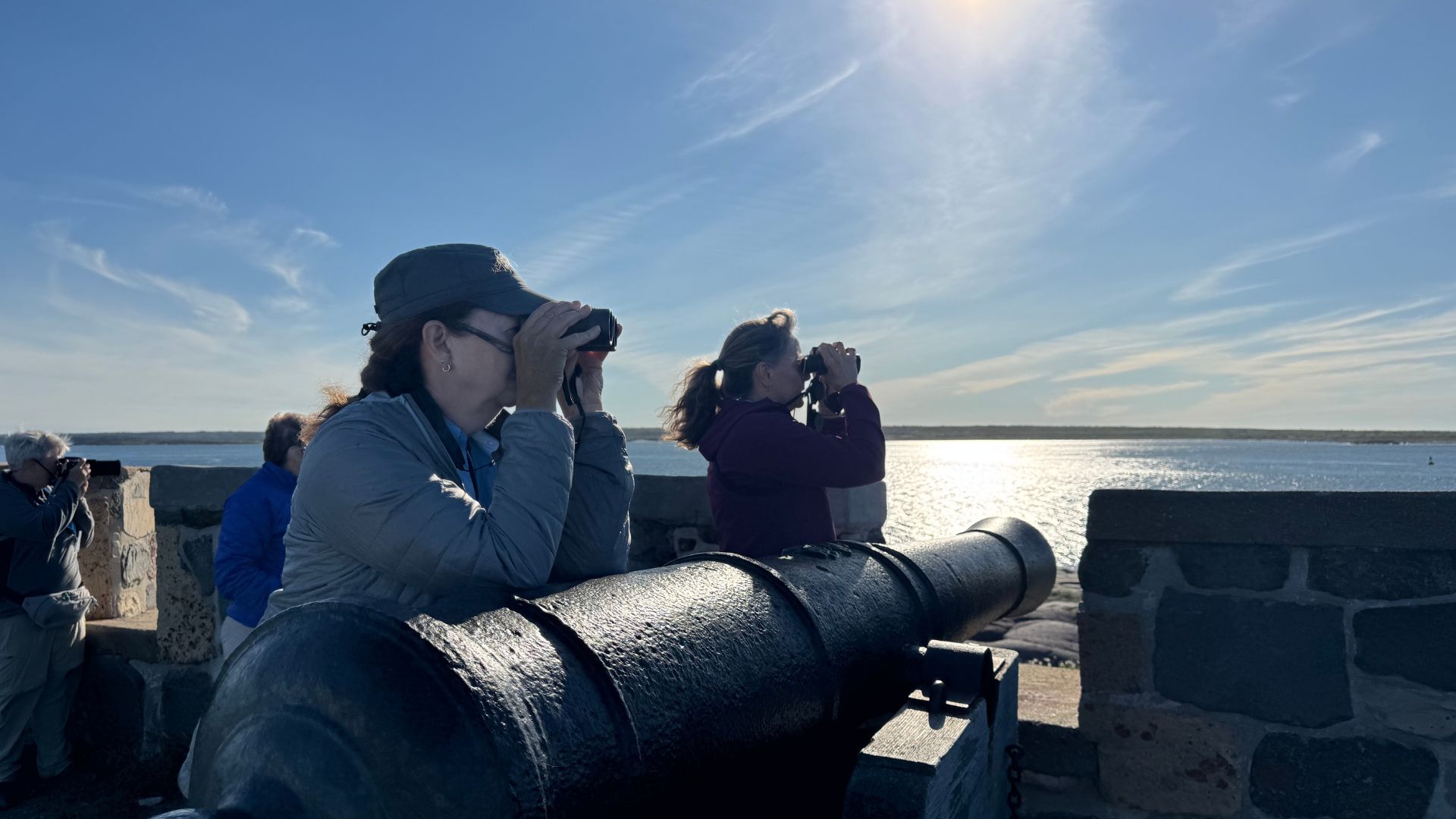 1920x1080 Greenland-Flowers-Mountains