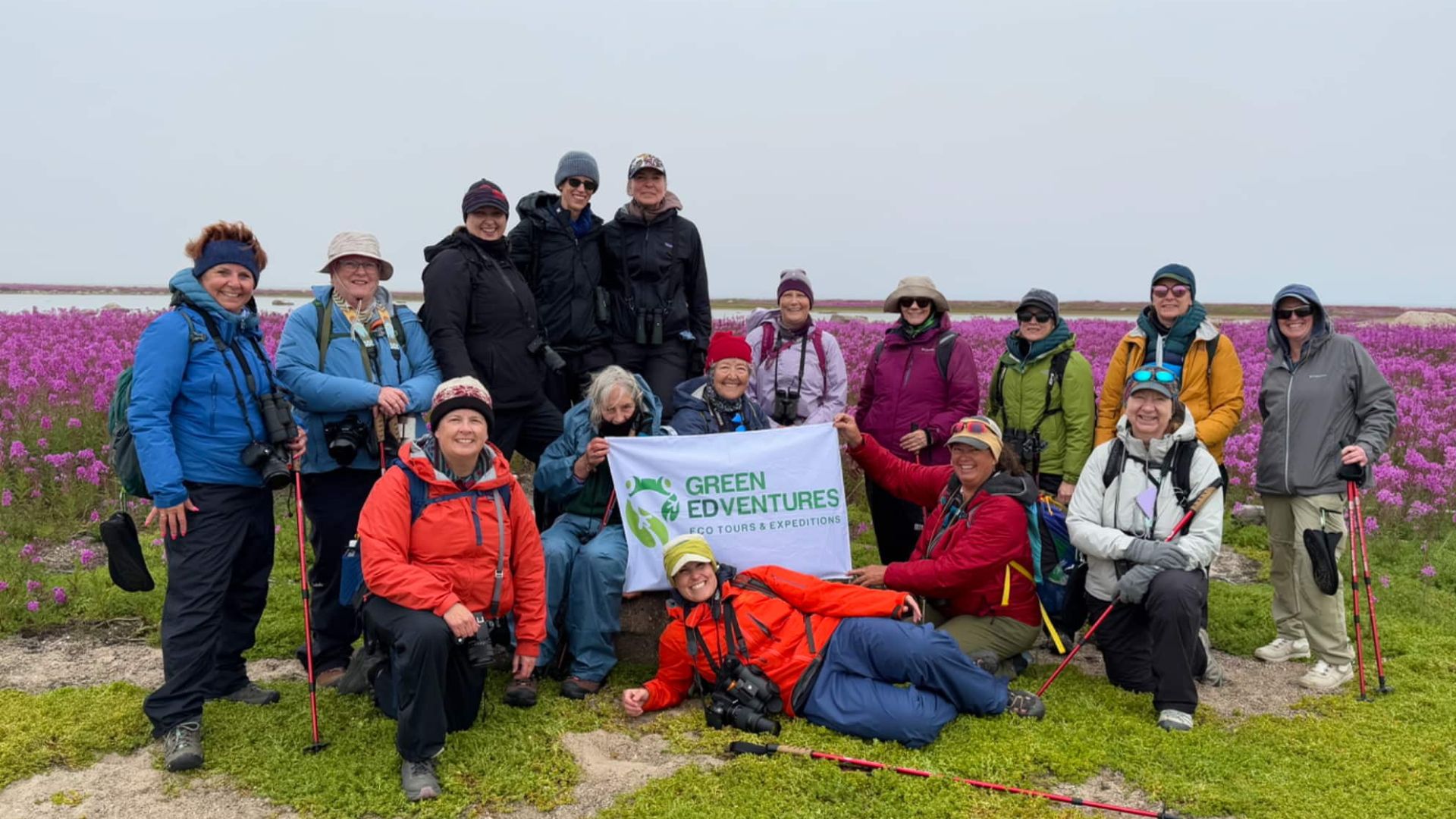 1920x1080 Greenland-Flowers-Mountains