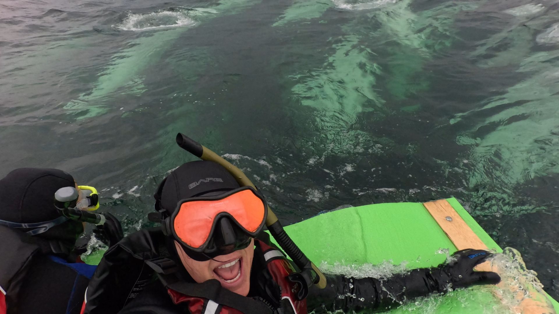 1920x1080 Greenland-Flowers-Mountains