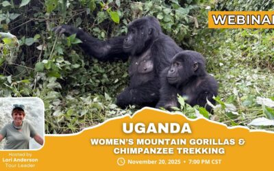 Webinar – 2026 Women’s Uganda Mountain Gorillas + Chimpanzee Trekking