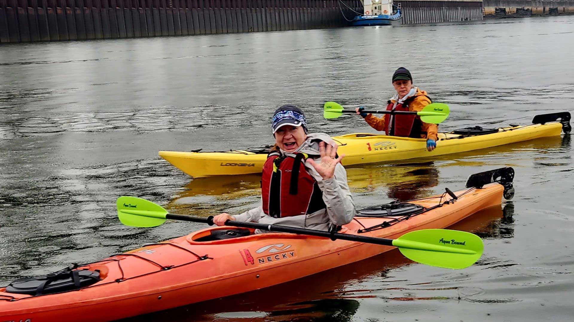 1920x1080 Greenland-Flowers-Mountains