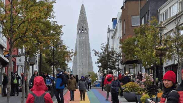 Iceland knitting retreat hallgrimskirkja