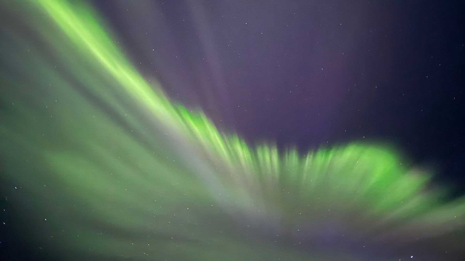 1920x1080 Greenland-Flowers-Mountains