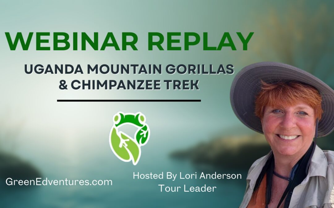 REPLAY Webinar – 2026 Women’s Uganda Mountain Gorillas + Chimpanzee Trekking