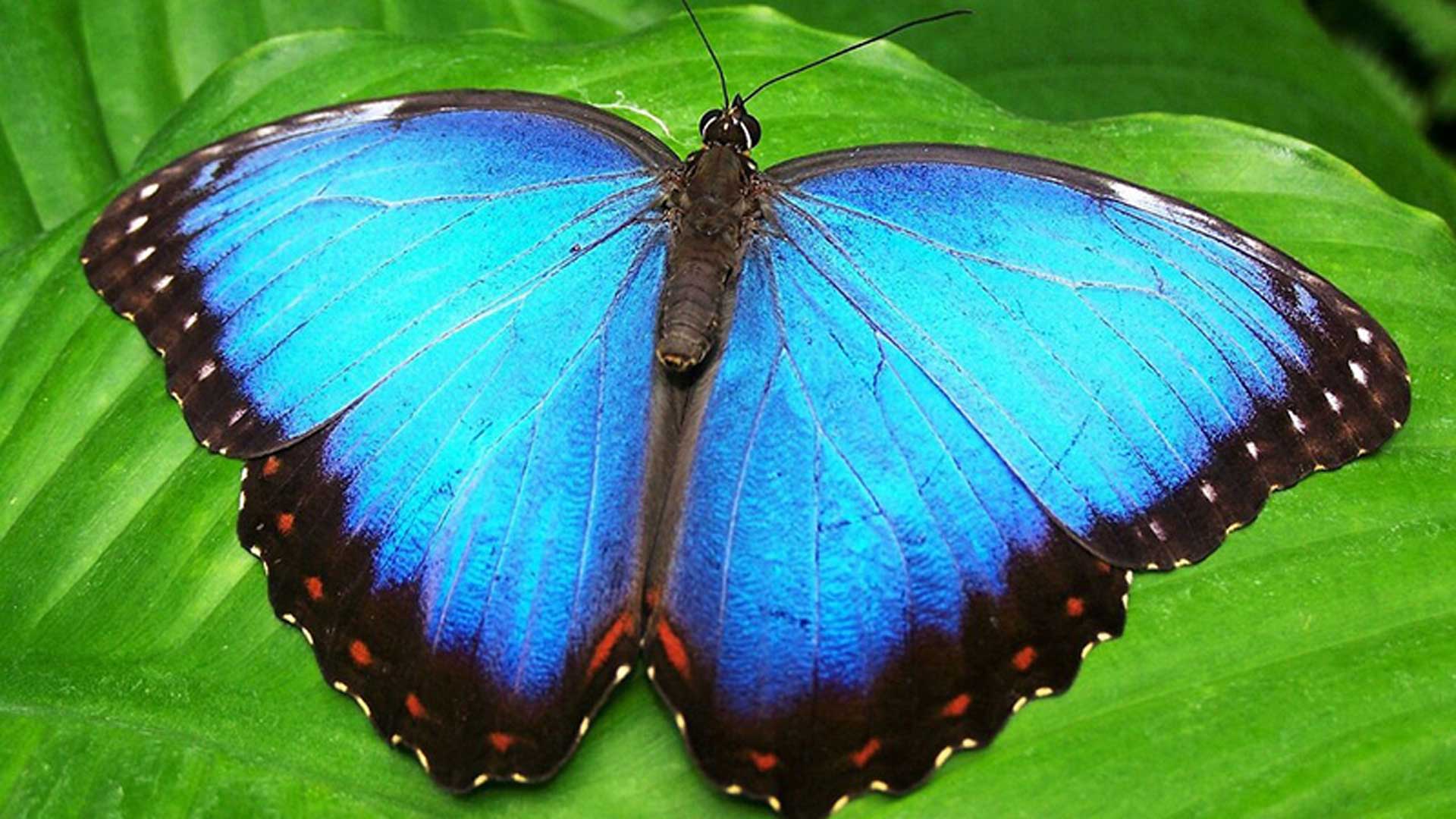 East-Greenland-Womens-Adventure-highlight001