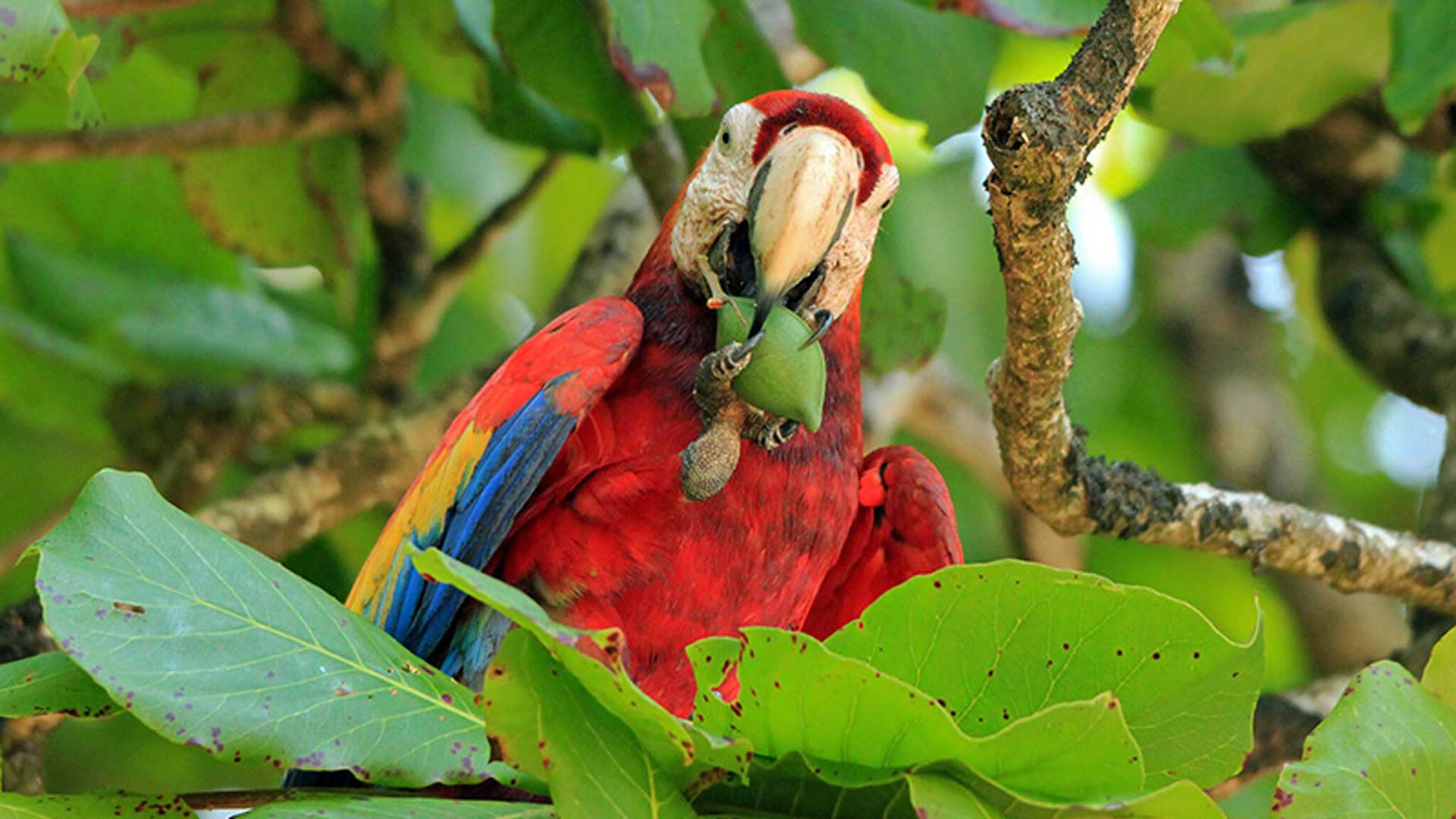 Greenland tours for women boat transfer