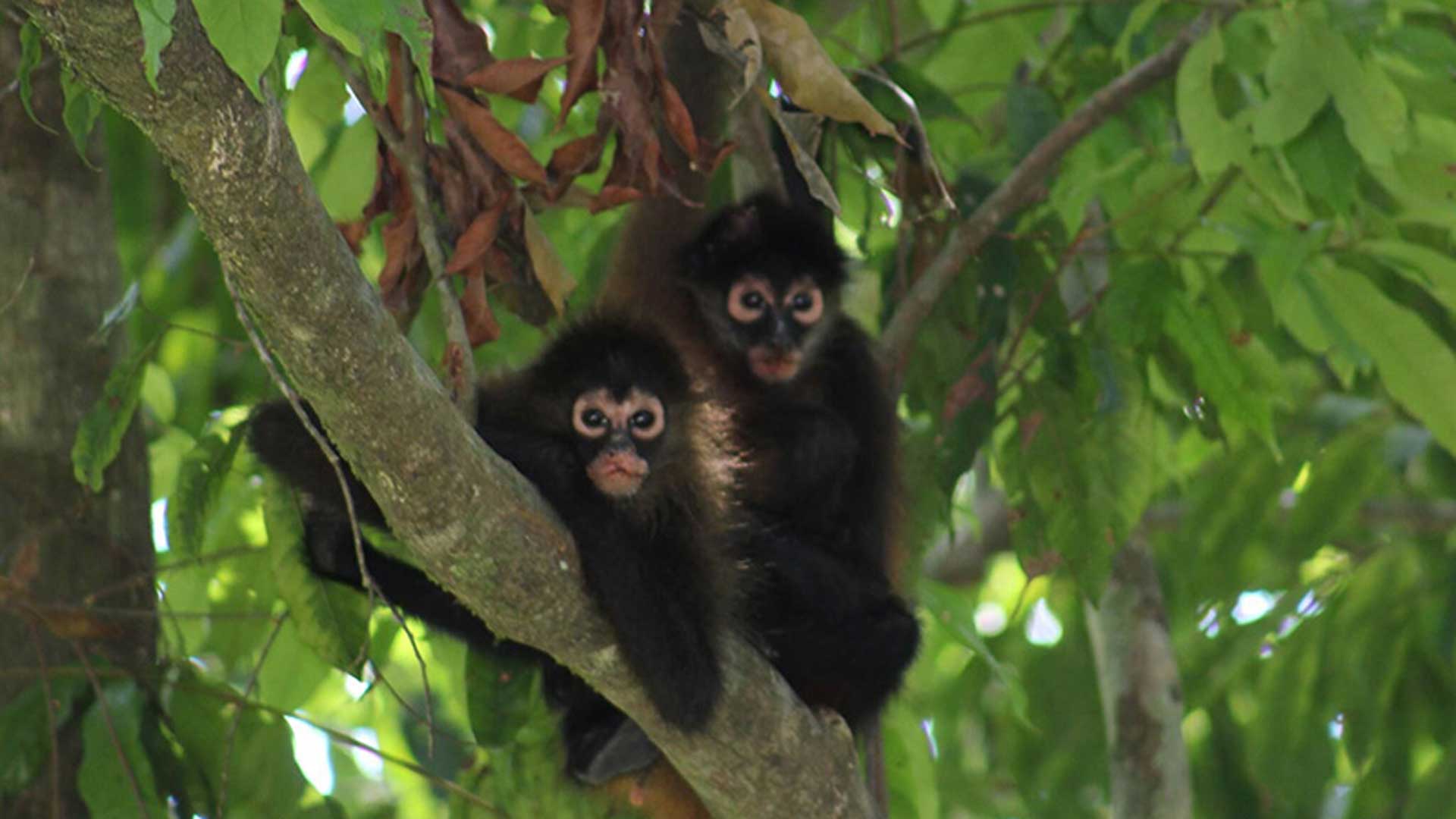 Greenland tours for women boat transfer
