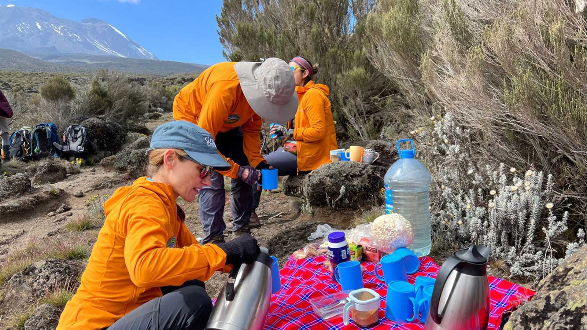Iceland-Laugavegur-hike-local-guide