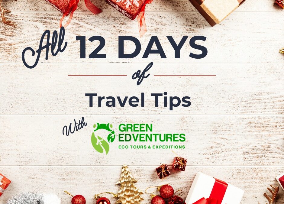 12 Days of Travel Tips from Green Edventures Tour Leaders