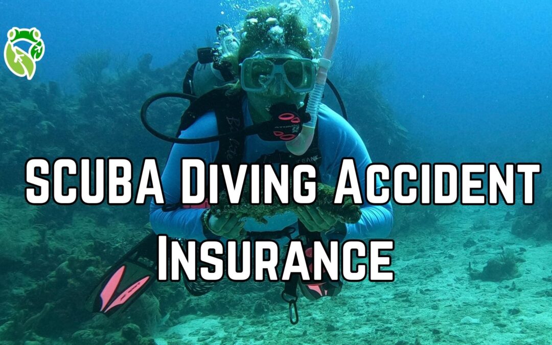 SCUBA dive accident insurance