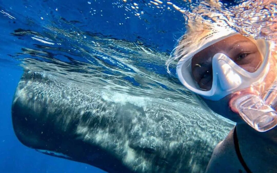 Dominica Snorkel With Sperm Whales Tour For Women 2026