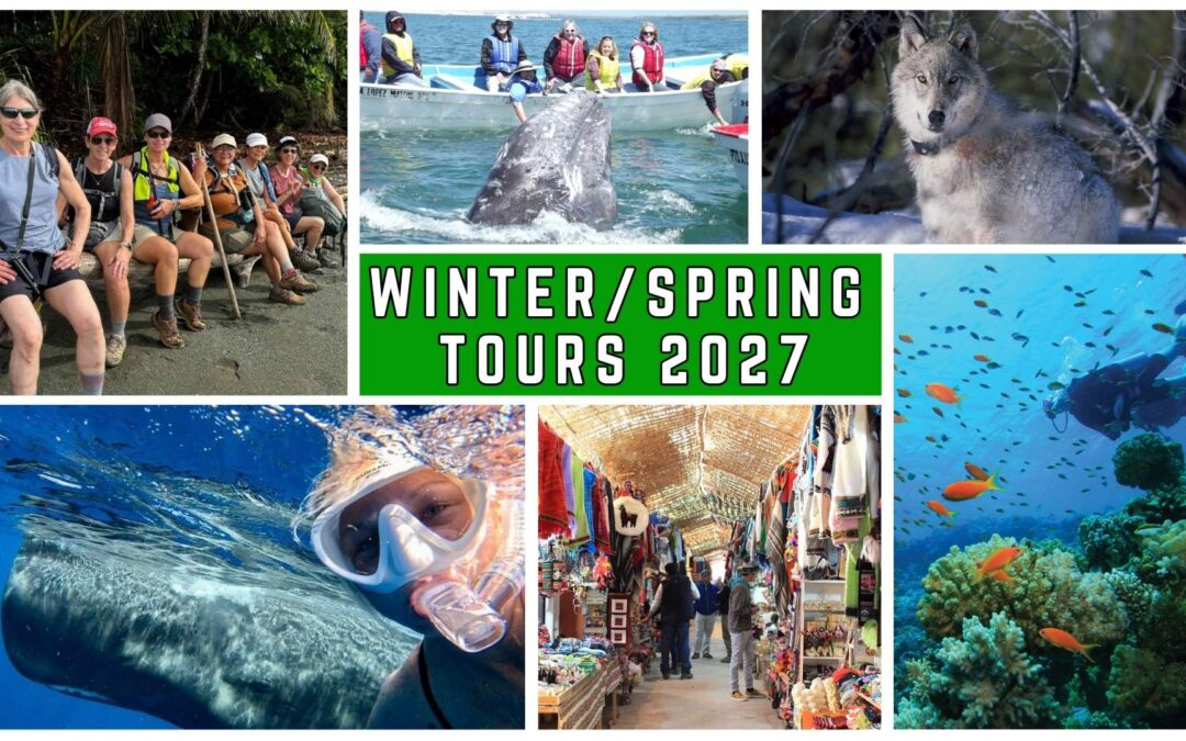 Adventure Travel for Women Over 50 in 2027: Winter & Spring Trips