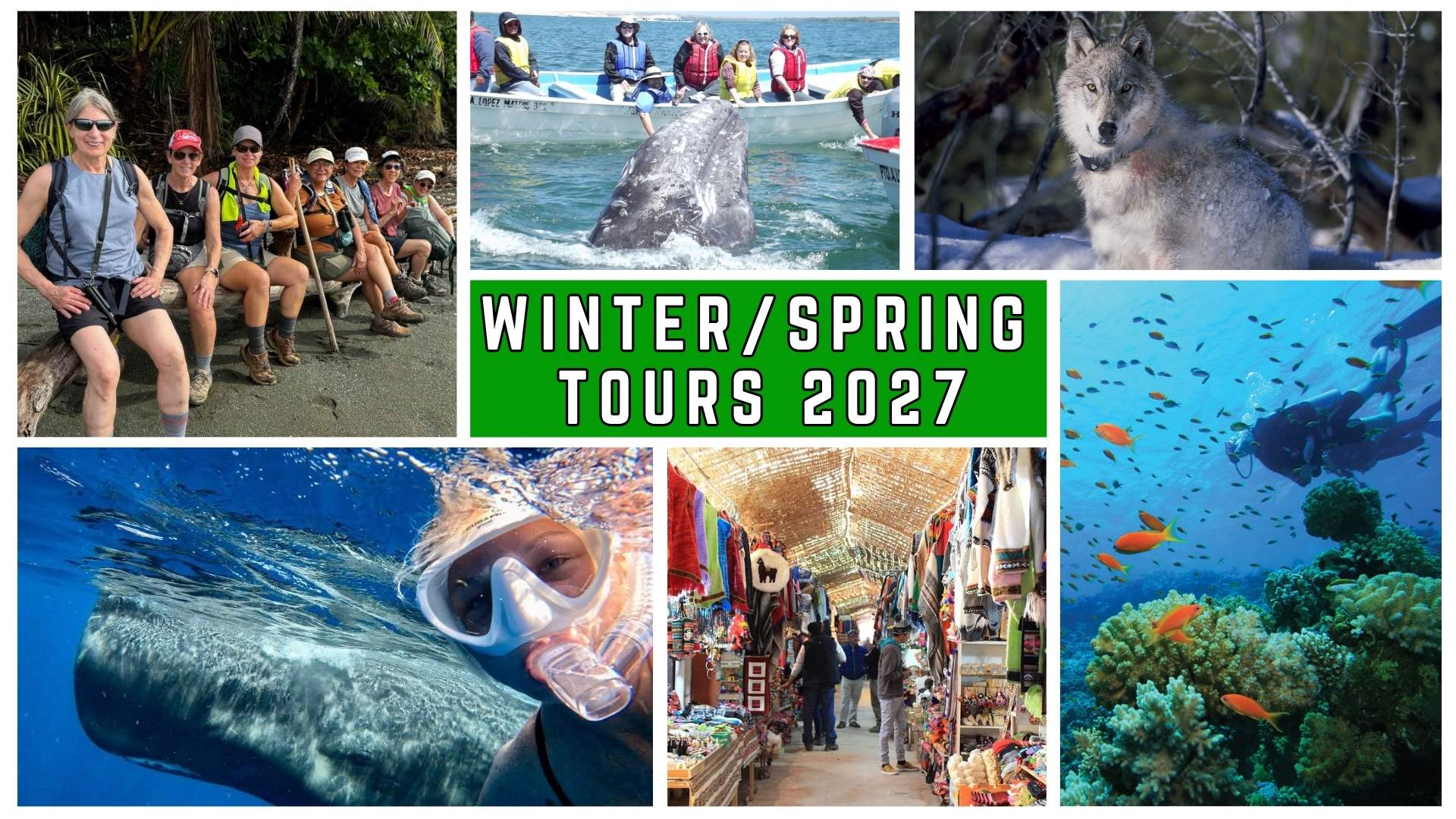 Winter Sprint Tours 2025 - 2026