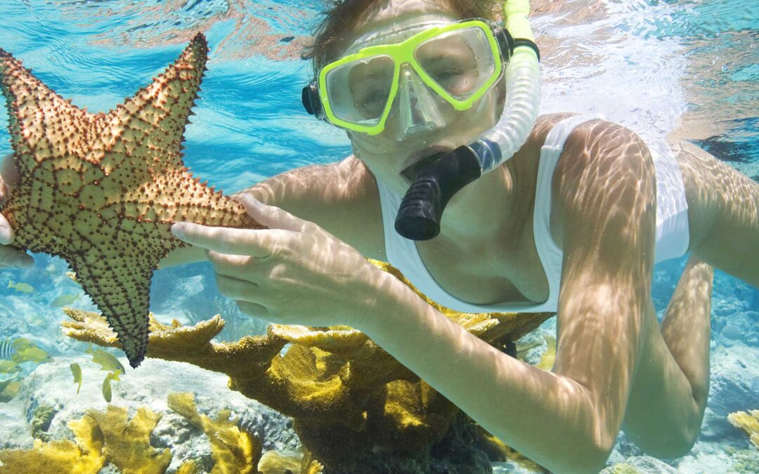 Belize Womens Adventure Snorkel & SCUBA Diving Tour 2027