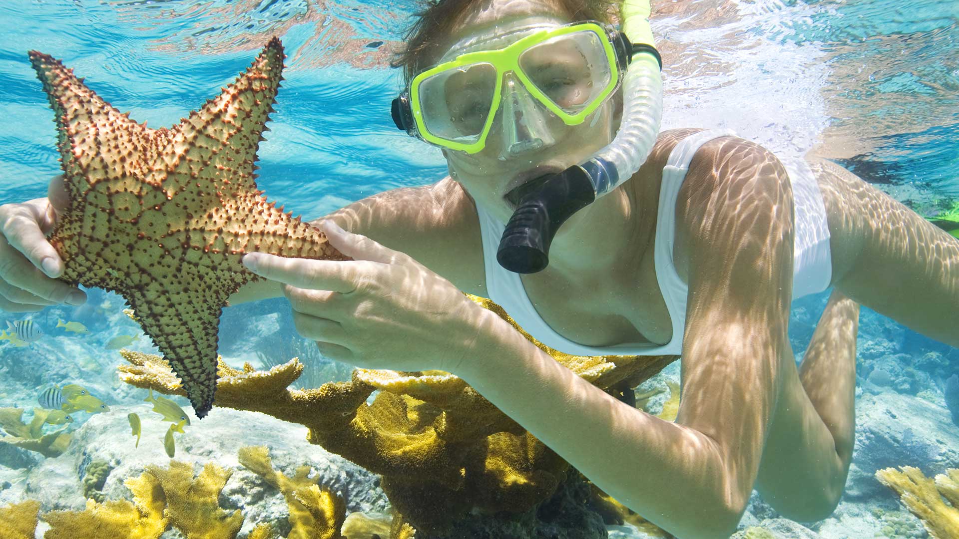 Belize Snorkeling