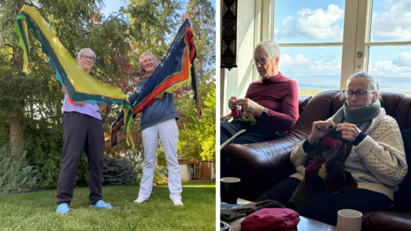 Iceland knitting tour shawls and sheep round up reviews